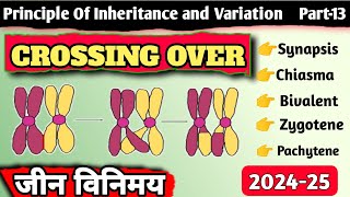 Class 12  Crossing Over  जीन विनिमय  Principle of Inheritance and Variation [upl. by Martijn]