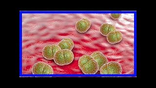 Symptome und Behandlung von PneumokokkenMeningitis [upl. by Erelia]