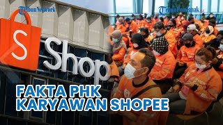 🔴 Fakta PHK Karyawan Shopee Penyebab PHK Jumlah Karyawan hingga Pesangon [upl. by Ahseikal]