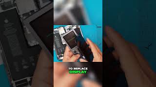 Fix iPhone Display Issues Here’s the Solution IPHONE 11 PRO MAX  Sydney CBD Repair Centre [upl. by Micco]