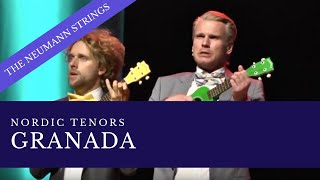 Nordic Tenors  Granada ukulele version [upl. by Undry]