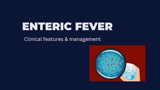 Enteric Fever [upl. by Tj]