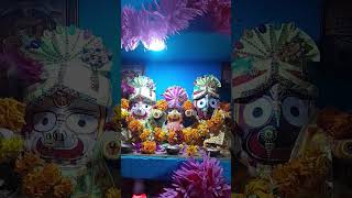 जय जगन्नाथmusic song bollywood hindisong jagarnnath song live youtubeshorts youtube odiya [upl. by Baum314]