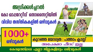 അഗ്രിക്കൾച്ചറൽ കോ ഓപ്പറേറ്റീവ് സൊസൈറ്റിയിൽ വിവിധ തസ്തികകളിൽ ഒഴിവുകൾ  Cooperative Society jobs [upl. by Morrie]