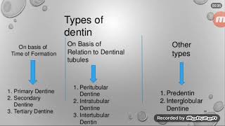 Types of dentin primary secondary and tertiary dentin [upl. by Layla]