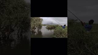 FLOAT FISHING FOR ROHUFISH  PERFECT THE SINGLE HOOK viralvideo trending india 🎣 fishingworld [upl. by Daisey]