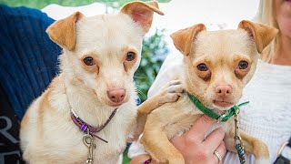 Adoption Ever After  Dora and Phoebe  Home amp Family [upl. by Ahsikyw]