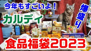 大勝利！【カルディ福袋2023】4500円の食品福袋中身が今回もすごかった！総額いくらだったか猫と一緒に見てみよう！【福袋紹介】 [upl. by Cecily618]