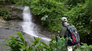 VENEZUELA  Pico Naiguatá  Vía Miguel Delgado  Parque Nacional Waraira Repano El Avila [upl. by Chaddy]