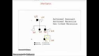 Pedigree Analysis [upl. by Ericksen]