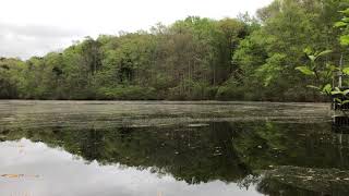 A moment at Scottsville Lake – in the Van Clief Nature Area  Scottsville VA  by Dan Gritsko [upl. by Keelin673]