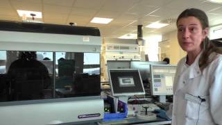 Flow Cytometry – Liliana Carvalho [upl. by Aiekal]