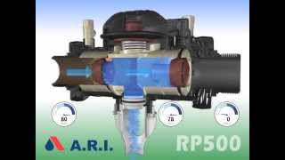 ARI RP500 Backflow Preventer in action  Problem  Back pressure and 2nd check valve leaking [upl. by Loydie]