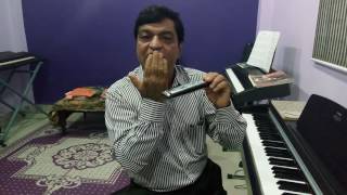 Techniques of Mouth Organ Harmonica Mouth Organ Tutorial [upl. by Anas897]