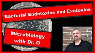 Bacterial Endotoxins and Exotoxins Microbiology [upl. by Giule149]