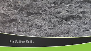 Fix Saline Soils From Ag PhD Show 1186  Air Date 122720 [upl. by Bick973]