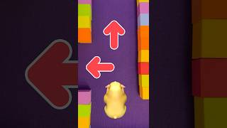 Help the Hamster Escape the Rainbow Maze 🟪🟨🟥🟦 cocomelon shorts [upl. by Aliekat]