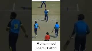 Mohammed Shami Catch  SMAT  shorts shorts smat2024 mohdshami cricket cricketlover viral [upl. by Sirron]