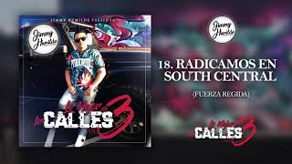 18 Radicamos en South Central  Fuerza Regida Audio Oficial [upl. by Silrac]