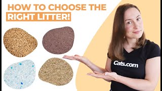 The BEST And WORST Types Of Cat Litters Explained [upl. by Eihpos]