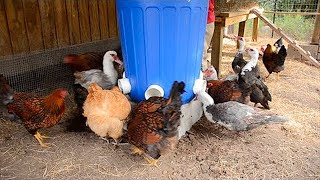 Como Hacer Comederos Para Gallinas Automáticos Caseros  La Huertina De Toni [upl. by Amelina]