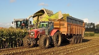 Claas Jaguar 900 Fieldshuttle  Loonwerken De Bruyne  mais 2013 [upl. by Groome]