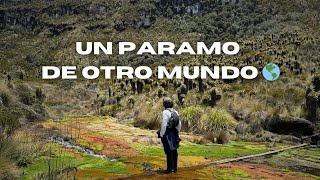 Asi son los Termales y el Paramo de Murillo Tolima [upl. by Syhr]