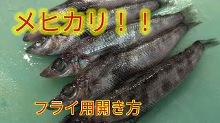 魚の捌き方メヒカリ！フライ用 [upl. by Ramma]