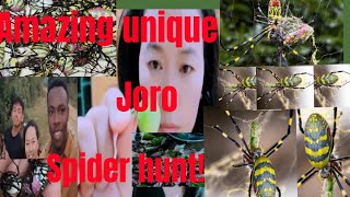 Amazing unique Joro spider hunt Cook amp eat [upl. by Lilybel130]