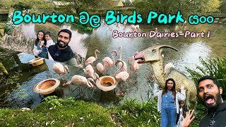 Birds park at Bourton  Bourton වල දවසක් [upl. by Eliades994]