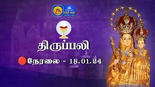 🔴 LIVE  Holy Mass In Tamil  18th January 2024 Annai Vailankanni Shrine  Besant Nagar Annai [upl. by Olra]