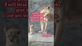 TODAY WORD OF GOD [upl. by Elise]