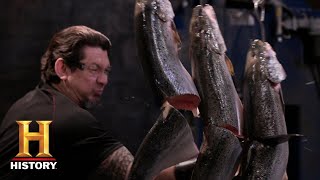 Forged in Fire KILLER Falcata Blade CHOPS the Final Round Extra Sharp Cuts Season 3  History [upl. by Seda]