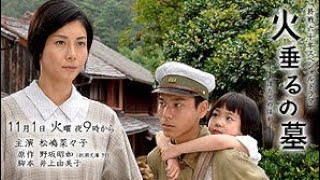 Grave of the Fireflies 2005 Movie In Hindi Dubbed grave of the fireflies english  Facts Reviews [upl. by Weingartner]