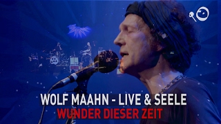 Wolf Maahn  Wunder dieser Zeit Live in Köln [upl. by Hairym]