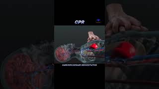 CPR  cardiopulmonary resuscitation  cpr savelife [upl. by Laveen]