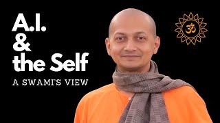 Esoteric Insights from an Amazing Swami on AI amp Advaita Vedanta [upl. by Rednaxela]