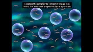 Digital PCR explained in 2 minutesmust watch [upl. by Nayd366]