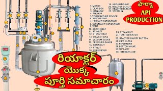 pharmaceutical reactor information  parts of the reactor and use  pharmaceutical api industry [upl. by Attenov]