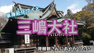 【三嶋大社】大河見て源頼朝さんにあやかりに来た [upl. by Doig]