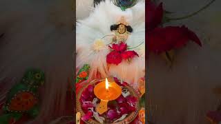 Laddu Gopal ki aarti  Adharam Madhuram laddugopal laddugopalstatus Thakur ji shringar darshan [upl. by Friend]