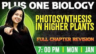 Plus One Biology  Photosynthesis in Higher Plants  Chapter 13  Full Chapter Exam Winner [upl. by Aicilet]