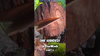 One armed pro logger cuts down 500 year old pine tree part 6 shorts [upl. by Eintrok]