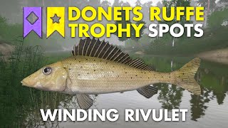 Russian Fishing 4 TROPHY DONETS RUFFE SPOT Winding Rivulet [upl. by Mariande683]