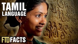 The Real History of The Tamil Language [upl. by Aracot]