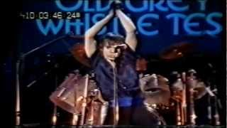 Iggy Pop 19771979 14 New Values 19790424 Old Grey Whistle Test [upl. by Yeta]