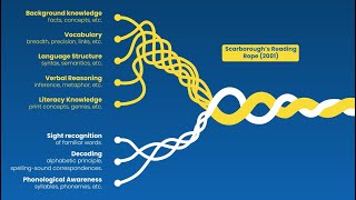 Lexia Core5 and the Science of Reading [upl. by Adel]