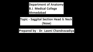 BJMC  SAGITTAL SECTION OF THE HEAD amp NECK  NOSE [upl. by Adnoloy]