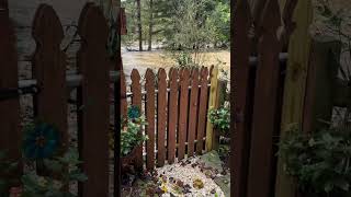 Historic flooding in Sugar Grove North Carolina near Boone September 2024￼ [upl. by Anelagna]