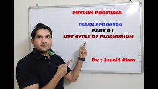 Life Cycle of Plasmodium I Malaria  Human Health amp Disease I Protozoal Disease  Neet Biology [upl. by Eikcir]